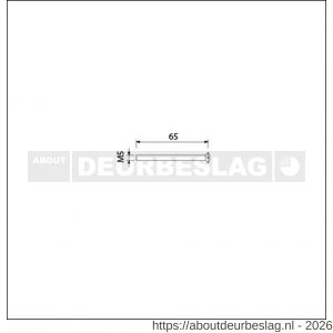 Ami deurbeslag patentschroef met zaagsnede RVS M5x65 mm voldraad set 10 stuks - R10900181 - afbeelding 2