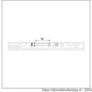Ami deurbeslag patentschroef met zaagsnede RVS M6x45 mm voldraad set 10 stuks - R10900189 - afbeelding 2
