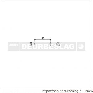 Ami deurbeslag patentschroef met zaagsnede RVS M6x53 mm voldraad set 10 stuks - R10900190 - afbeelding 2