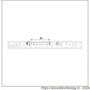 Ami deurbeslag patentschroef met zaagsnede RVS M6x60 mm voldraad set 10 stuks - R10900191 - afbeelding 2