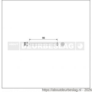 Ami deurbeslag patentschroef met zaagsnede RVS M6x90 mm voldraad set 10 stuks - R10900195 - afbeelding 2