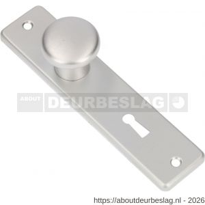 Ami 165/4 RH knopkortschild aluminium rondhoek knop 160/40 vast kortschild 165/4 RH sleutelgat SLG 56 F1 - R10900706 - afbeelding 1