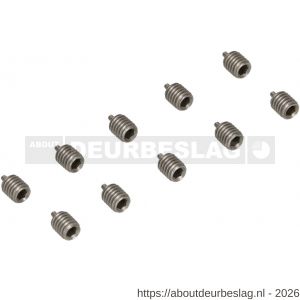 Ami deurbeslag Quickpuntschroef M6 verpakt per 10 stuks - R10900173 - afbeelding 1
