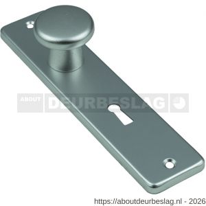 Ami 180/41 RH knopkortschild aluminium rondhoek knop 160/40 vast kortschild 180/41 RH sleutelgat SLG 56 F2 - R10900730 - afbeelding 1