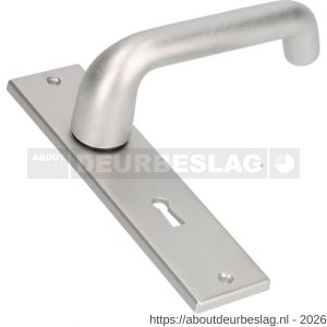 Ami KS 178/43-386 kruk-kruk garnituur deurkruk 386 Rota kortschild 178/43 sleutelgat SLG 56 F1 - R10900118 - afbeelding 1