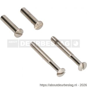 Ami deurbeslag patentbout compleet met huls ijzer vernikkeld M4x55 mm schroef en huls set 10 stuks - R10900205 - afbeelding 1