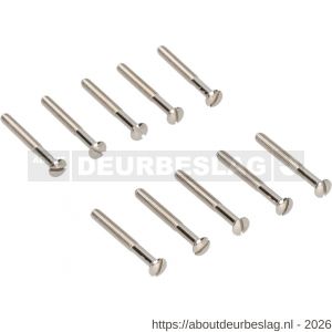 Ami deurbeslag patentschroef met zaagsnede ijzer vernikkeld M4x38 mm voldraad set 10 stuks - R10900174 - afbeelding 1