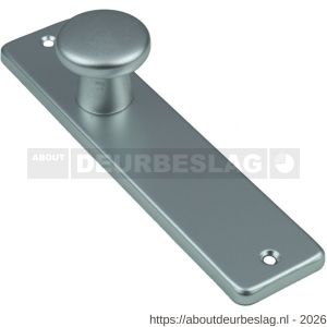 Ami 165/4 RH knopkortschild aluminium rondhoek knop 160/40 vast kortschild 165/4 RH blind F2 - R10900708 - afbeelding 1
