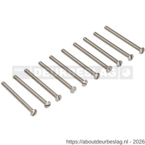 Ami deurbeslag patentschroef met zaagsnede RVS M5x52 mm voldraad set 10 stuks - R10900178 - afbeelding 1