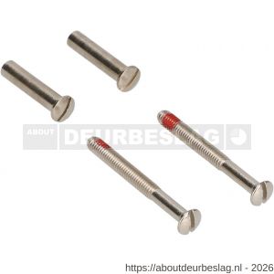 Ami deurbeslag patentbout compleet met huls ijzer vernikkeld M4x55 mm schroef en borging set 2 stuks - R10901770 - afbeelding 1
