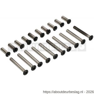 Ami deurbeslag patentbout compleet met huls zwart RAL 9005 structuur M6x45 mm schroef en huls set 10 stuks - R10901771 - afbeelding 1