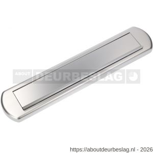 Ami EP 970 briefplaat met veer aluminium deurdikte 38-42 mm F1 Climate Comfort - R10900067 - afbeelding 1