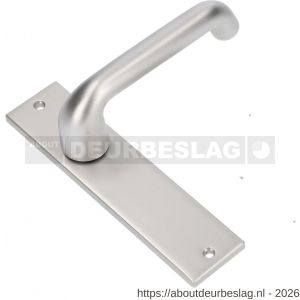 Ami KS 178/43-386 kruk-kruk garnituur deurkruk 386 Rota kortschild 178/43 blind F1 - R10900117 - afbeelding 1