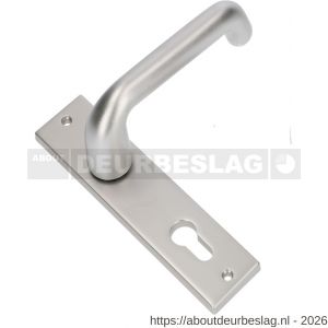 Ami KS 178/43-386 kruk-kruk garnituur deurkruk 386 Rota kortschild 178/43 profielcilinder PC 55 F1 - R10900119 - afbeelding 1