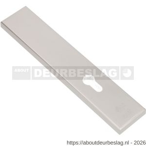 Ami VHB 251/50 veiligheidslangschild SKG*** VHB 251/50 buiten en binnen zonder krukgat profielcilinder PC 72 F1 deurdikte 38-42 mm - R10901429 - afbeelding 1