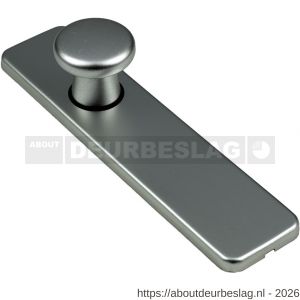 Ami 185/44 Klik knopkortschild aluminium knop 160/40 vast kortschild 185/44 Klik blind F1 - R10900736 - afbeelding 1