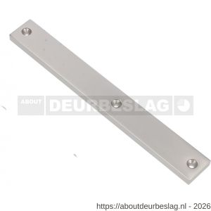 Ami 245/30 smalschild aluminium geheel blind R5,5 F1 - R10900778 - afbeelding 1