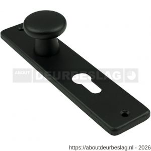 Ami 180/41 RH knopkortschild aluminium rondhoek knop 160/40 vast kortschild 180/41 RH profielcilinder PC 55 zwart RAL 9005 structuur finish - R10900735 - afbeelding 1