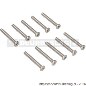 Ami deurbeslag patentschroef met zaagsnede RVS M6x45 mm voldraad set 10 stuks - R10900189 - afbeelding 1