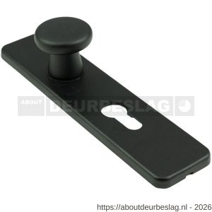 Ami 185/44 Klik knopkortschild aluminium knop 160/40 vast kortschild 185/44 Klik profielcilinder PC 55 zwart RAL 9005 structuur finish - R10900742 - afbeelding 1