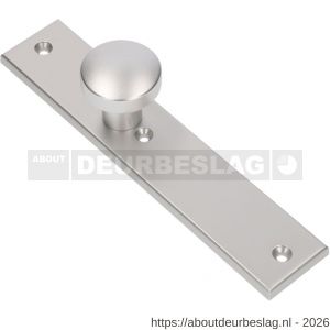 Ami 251/50/8 knoplangschild aluminium knop 169/50 vast langschild 251/50/8 blind R6,5 F1 - R10900760 - afbeelding 1
