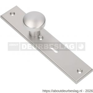 Ami 251/50/8 knoplangschild aluminium knop 169/50 vast langschild 251/50/8 sleutelgat SLG 56 R6,5 F1 - R10900761 - afbeelding 1