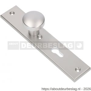 Ami 251/50/8 knoplangschild aluminium knop 169/50 vast langschild 251/50/8 profielcilinder PC 55 R6,5 F1 - R10900762 - afbeelding 1