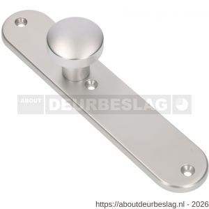 Ami 250/50/8/1 knoplangschild aluminium knop 169/50 vast langschild 250/50/1/8 blind R6,5 F1 - R10900756 - afbeelding 1