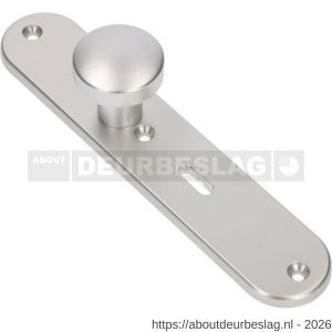 Ami 250/50/8/1 knoplangschild aluminium knop 169/50 vast langschild 250/50/8/1 sleutelgat SLG 56 R6,5 F1 - R10900757 - afbeelding 1