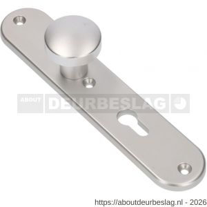 Ami 250/50/8/1 knoplangschild aluminium knop 169/50 vast langschild 250/50/8/1 profielcilinder PC 55 R6,5 F1 - R10900758 - afbeelding 1