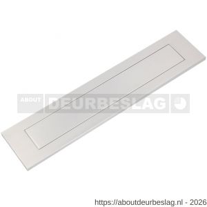 Ami DL binnendraaiende briefplaat met veer aluminium F2 deurdikte 38-42 mm - R10900055 - afbeelding 1