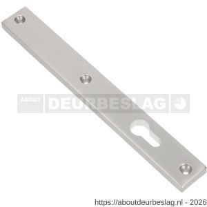 Ami 245/30 smalschild aluminium zonder krukgat profielcilinder PC 72 R5,5 F1 - R10900780 - afbeelding 1