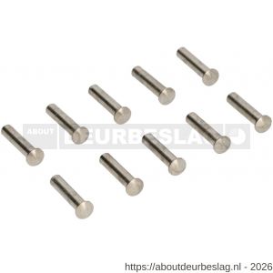 Ami deurbeslag patentbouthuls messing vernikkeld M4x22,5 mm zonder zaagsnede set 10 stuks - R10900197 - afbeelding 1