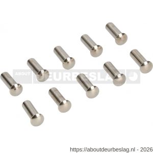 Ami deurbeslag patentbouthuls messing vernikkeld M5x21 mm zonder zaagsnede set 10 stuks - R10900198 - afbeelding 1