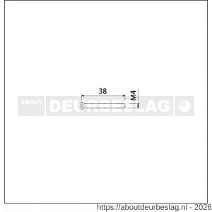 Ami deurbeslag patentschroef met zaagsnede ijzer vernikkeld M4x38 mm voldraad borgmiddel set 10 stuks - R10900175 - afbeelding 2