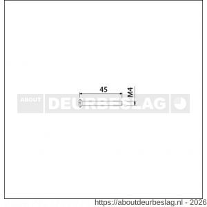 Ami deurbeslag patentschroef met zaagsnede ijzer vernikkeld M4x45 mm voldraad set 10 stuks - R10900176 - afbeelding 2