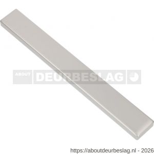 Ami 245/30 smalschild aluminium geheel blind M5 F1 - R10900777 - afbeelding 1