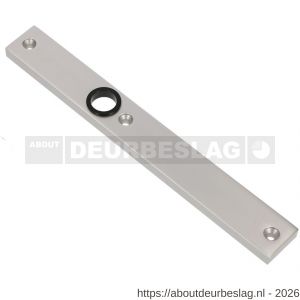 Ami 245/30 smalschild aluminium blind R5,5 F1 - R10900770 - afbeelding 1