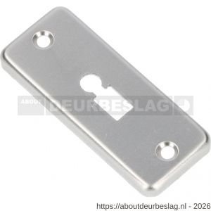 Ami 4 RH sleutelrozet aluminium rechthoek bontebaard BB F1 - R10900482 - afbeelding 1