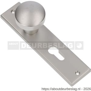 Ami 178/43 knopkortschild aluminium knop 169/50 vast kortschild 178/43 profielcilinder PC 55 F1 - R10900723 - afbeelding 1