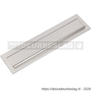 Ami DL postkast briefplaat met veer aluminium 290 mm 290/73 F1 - R10900057 - afbeelding 1
