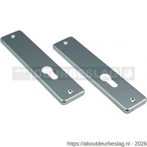 Ami 180/41 RH kortschild aluminium rondhoek zonder krukgat profielcilinder PC 55 F2 - R10900572 - afbeelding 1