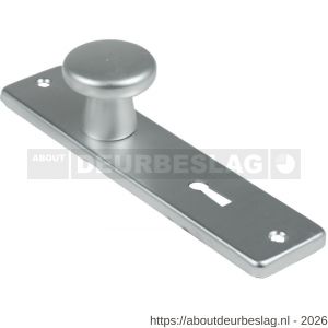 Ami 165/4 RH knopkortschild aluminium rondhoek knop 160/40 vast kortschild 165/4 RH sleutelgat SLG 56 F2 - R10900709 - afbeelding 1