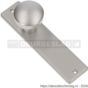 Ami 178/43 knopkortschild aluminium knop 169/50 vast kortschild 178/43 blind F1 - R10900720 - afbeelding 1