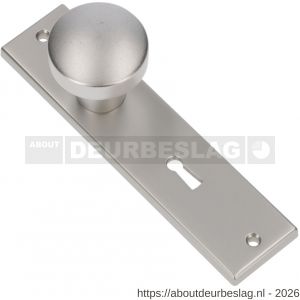 Ami 178/43 knopkortschild aluminium knop 169/50 vast kortschild 178/43 sleutelgat SLG 56 F1 - R10900721 - afbeelding 1