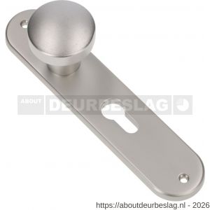 Ami 200/1/7 knoplangschild aluminium knop 169/50 vast langschild 200/1/7 profielcilinder PC 55 F1 - R10900746 - afbeelding 1