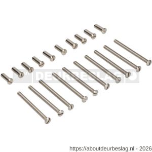 Ami deurbeslag patentbout compleet met huls RVS M5x45 mm schroef en huls RVS set 10 stuks - R10900206 - afbeelding 1