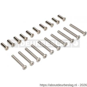 Ami deurbeslag patentbout compleet met huls RVS M6x45 mm schroef en huls RVS set 10 stuks - R10900211 - afbeelding 1