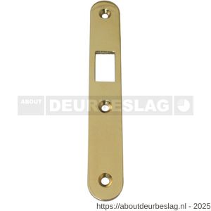 S&B 225603.4 sluitplaat voor 27225603.4 links-rechts 170x25x3 mm T messing gepolijst - R40615107 - afbeelding 1