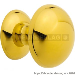 Mandelli1953 0284 deurknop op rozet 51x6 mm draaibaar messing gepolijst - R21013421 - afbeelding 1